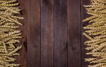 arrangement of wheat ears on the table for design with copy spaceの写真素材