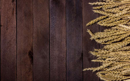 arrangement of wheat ears on the table for design with copy spaceの写真素材