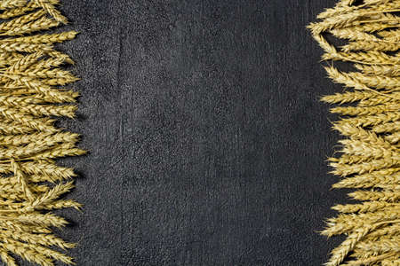 agriculture wheat spread on dark background, copy spaceの写真素材