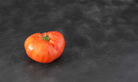 fresh tomato with drops of water, photo for designの写真素材