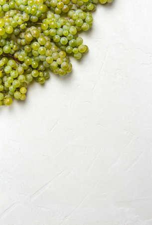 Large ripe green grapes. Ripe juicy grapes with vine foliage on a light gray concrete background with copy space from above. for designの写真素材