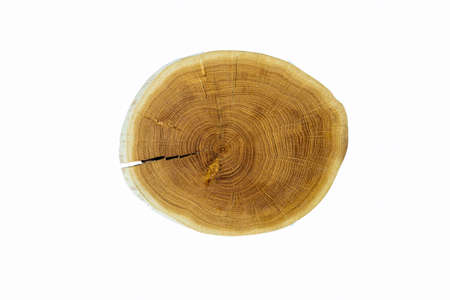 Round wooden saw cut from wood or cutting board isolated on white background. Top view, rustic wooden imitation of cutting. Isolated over white background. Copy space for text.の写真素材