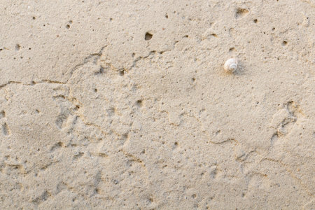 Texture of old gray concrete wall for backgroundの写真素材