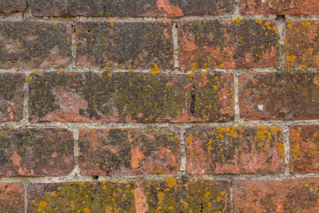 Background of old vintage brick wallの写真素材