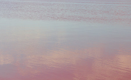 pink salt lake texture. Lake Sivash, known since antiquity for its useful, healing properties.