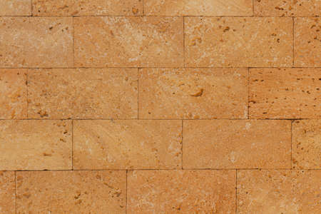 limestone wall texture with seashells. textured backgroundの写真素材