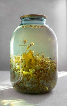 White currant compote, a jar on a white backgroundの写真素材