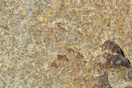 surface of the marble with brown tintの写真素材