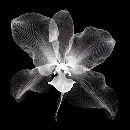 abstract orchid petals, black and white illustration Generative AIの素材