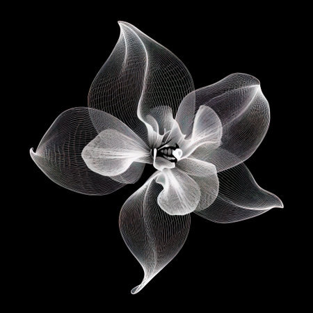 abstract orchid petals, black and white illustration Generative AIの素材