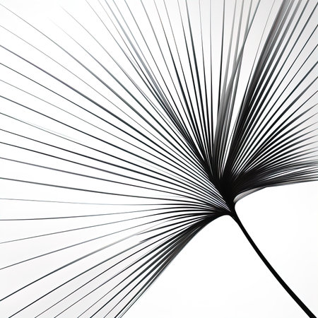 abstraction palm leaves, black and white on white backgroundの素材
