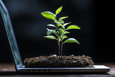 the Plant grows on the tablet. Business concept, The birth of a new life from technology. Banner, Advertising. Environmentの素材