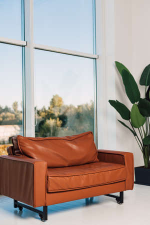 Red leather sofa stands in the office near the window. High quality photoの写真素材