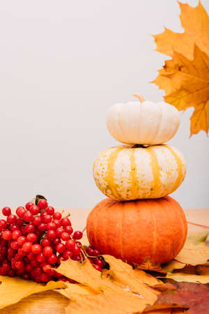 Autumn composition of three pumpkins, viburnum and yellow leaves. High quality photoの写真素材