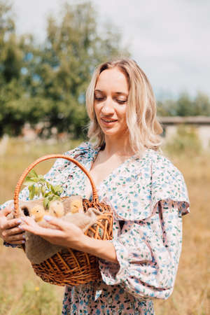 A young woman holds a basket of ducklings and smilesの写真素材