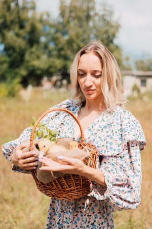 A young woman holds a basket of ducklings and smilesの写真素材