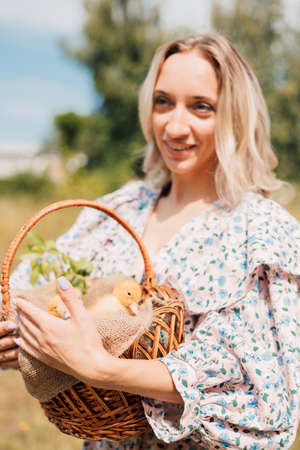 A young beautiful girl holds a basket with ducklings in her handsの写真素材