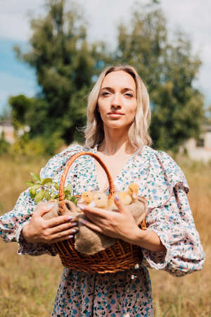 A young beautiful girl holds a basket with ducklings in her handsの写真素材