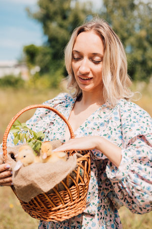 A young beautiful girl holds a basket with ducklings in her handsの写真素材