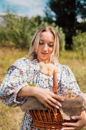 A woman holds a basket with ducklings in her handsの写真素材