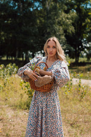 A young woman in long dress holds a basket of ducklings and smilesの写真素材