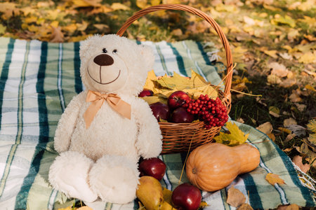 On the blanket in the cage lies a teddy bear and autumn fruits