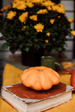 Orange pumpkin lies on a book next to yellow chrysanthemums