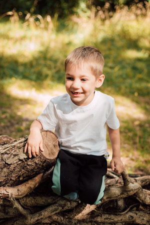 A little boy sits on a cut tree on a sunny day.の写真素材