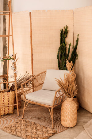 Modern interior in the hallway armchair and cactusの写真素材