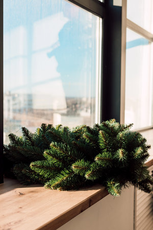 Branches of a green Christmas tree lie on a large beautiful window Christmasの写真素材