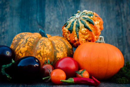 Pumpkins, eggplants, tomatoes, chili peppers on a background. Autumn vegetablesの写真素材