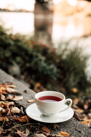 A cup of tea in a white cup on the banks of the river in the autumn afternoonの写真素材