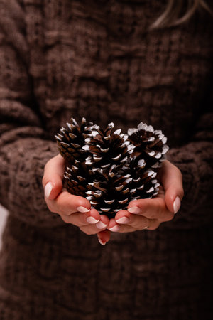Christmas spruce cones in womens hands. Christmas Decorationsの写真素材