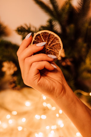 New Years composition. Womens hands with dried orange near the Christmas treeの写真素材