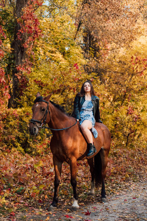 A woman on a horse in the autumn forest. Ridingの写真素材