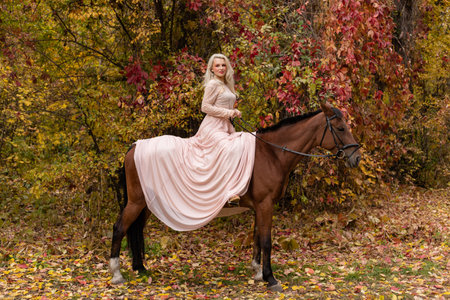 A woman in a long dress sits on a horse. Autumn forest, horse breeding. High quality photoの写真素材