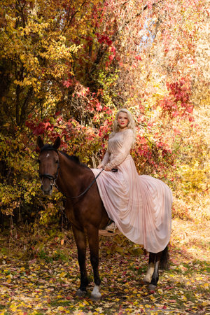 A woman in a long dress sits on a horse. Autumn forest, horse breeding. High quality photoの写真素材