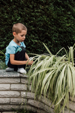 A little boy sprays indoor flowers. Moisturizing house plants. High quality photoの写真素材