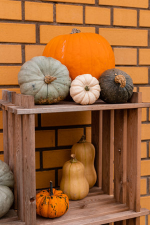 Ingathering. Pumpkins are lying on the table. Lots of pumpkins on the market. High quality photoの写真素材