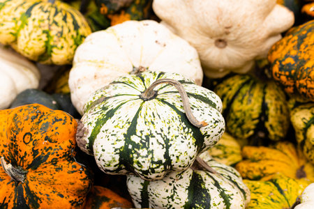 Ingathering. Pumpkins are lying on the table. Lots of pumpkins on the market. High quality photoの写真素材
