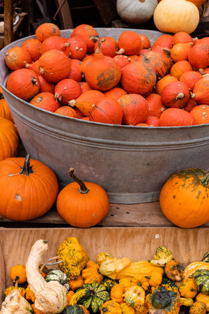 Ingathering. Pumpkins are lying on the table. Lots of pumpkins on the market. High quality photoの写真素材