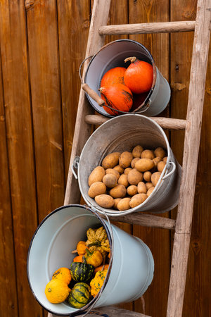 Ingathering. Pumpkins are lying on the table. Lots of pumpkins on the market. High quality photoの写真素材