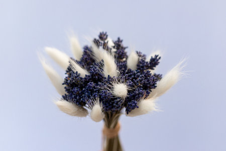 Lavender bouquet. Bouquet of dried flowers. Bridal bouquet, wedding bouquet. High quality photoの写真素材