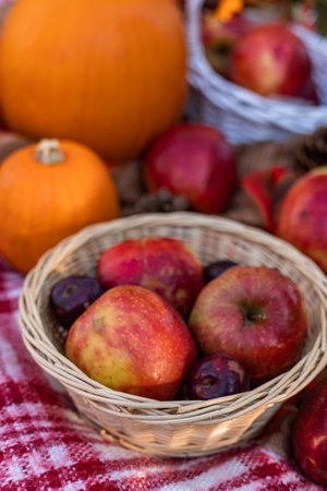 Autumn picnic in nature with apples. Apples and pumpkins on a blanket in nature. High quality photoの写真素材