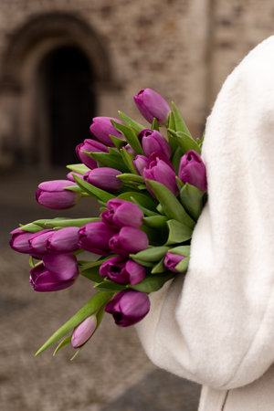 Beautiful purple tulips in the hands of a girl close-up. High quality photoの写真素材