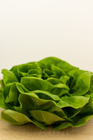Fresh lettuce leaves, ready to eat. Lettuce leaves on the table. High quality photoの写真素材