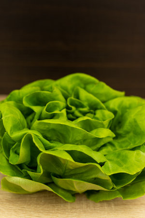 Fresh lettuce leaves, ready to eat. Lettuce leaves on the table. High quality photoの写真素材