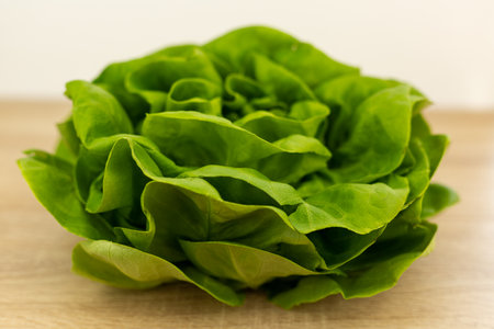 Fresh lettuce leaves, ready to eat. Lettuce leaves on the table. High quality photoの写真素材