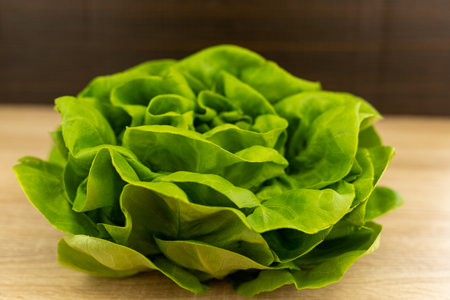 Fresh lettuce leaves, ready to eat. Lettuce leaves on the table. High quality photoの写真素材