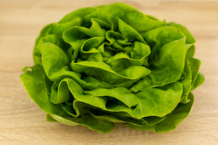 Fresh lettuce leaves, ready to eat. Lettuce leaves on the table. High quality photoの写真素材